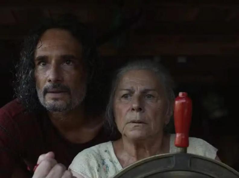 Público de filmes brasileiros no cinema cresce e chega a 11,2% em 2025