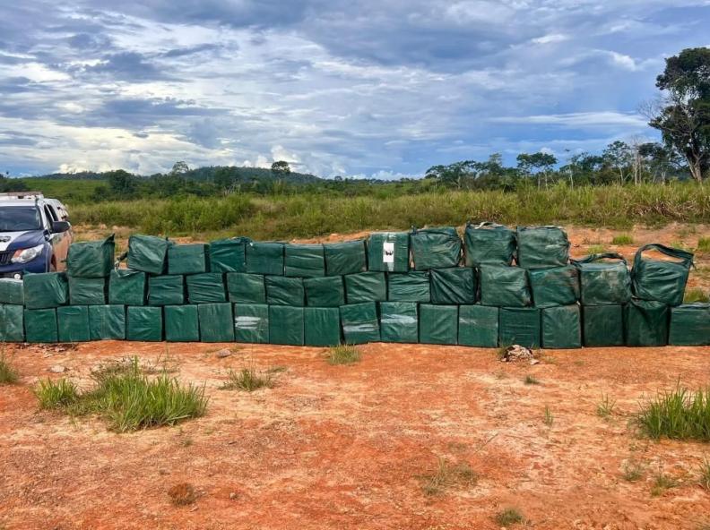 Forças de segurança apreendem 35 toneladas de drogas em 2025 em Mato Grosso