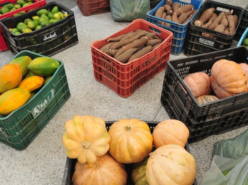 Aprova nova Política de Compras da Agricultura Familiar em Alta Floresta