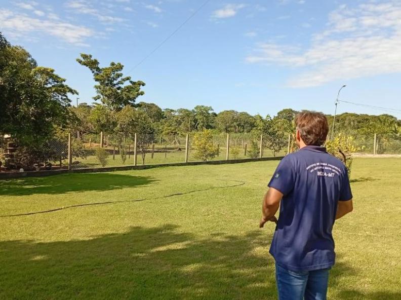 Mapa confirma caso de gripe aviária em Acorizal; equipes do Indea atuam para conter foco