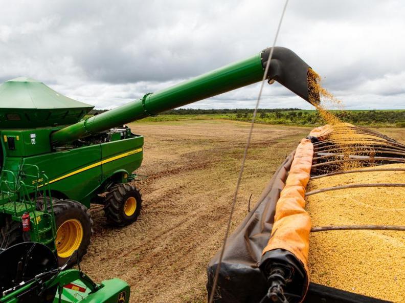 Mato Grosso redefine incentivos fiscais à soja beneficiada e reforça regras para industrialização e armazenagem