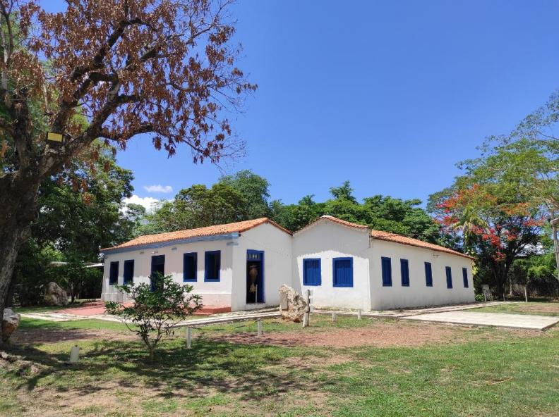 Museu de História Natural de MT reabre ao público nesta terça-feira (20) com entrada gratuita