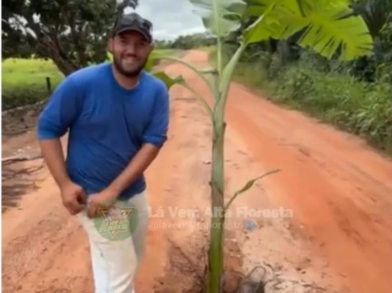 Bananeira no meio da estrada escancara abandono na zona rural de Carlinda