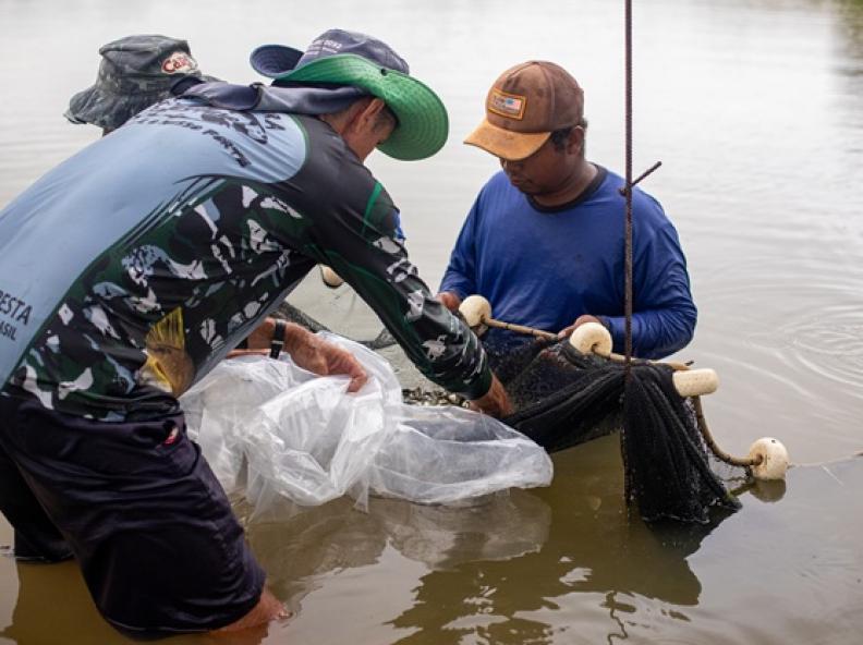 Prefeitura de Alta Floresta realiza entrega de alevinos e fortalece a piscicultura local