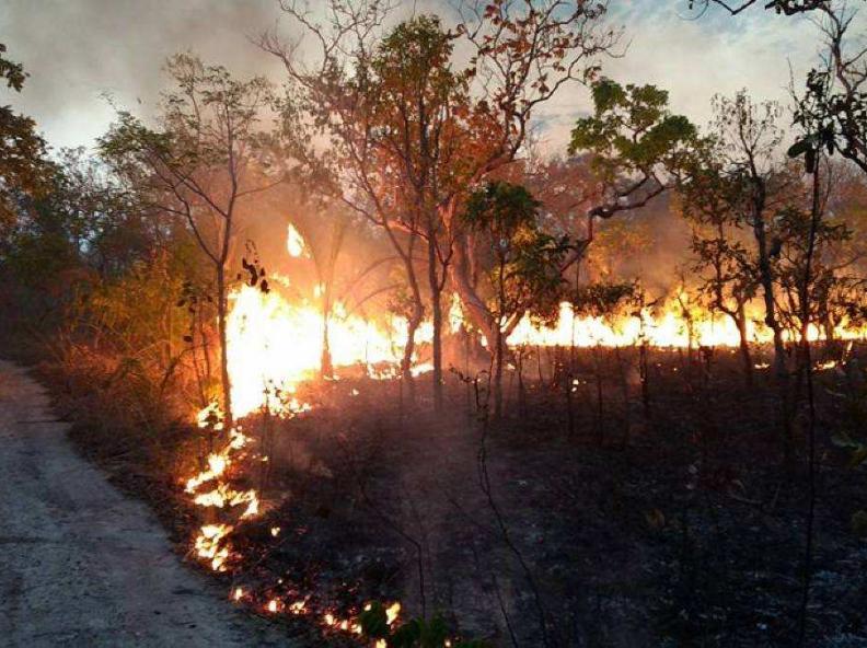 Mato Grosso decreta emergência ambiental e proíbe queimadas até novembro