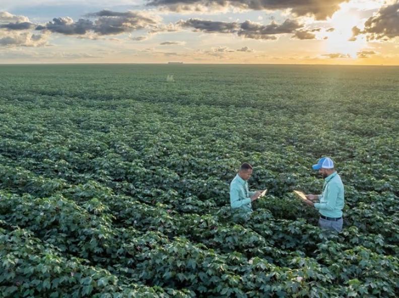 Gigantes do agronegócio brasileiro apostam 100% em bioinsumos para grãos
