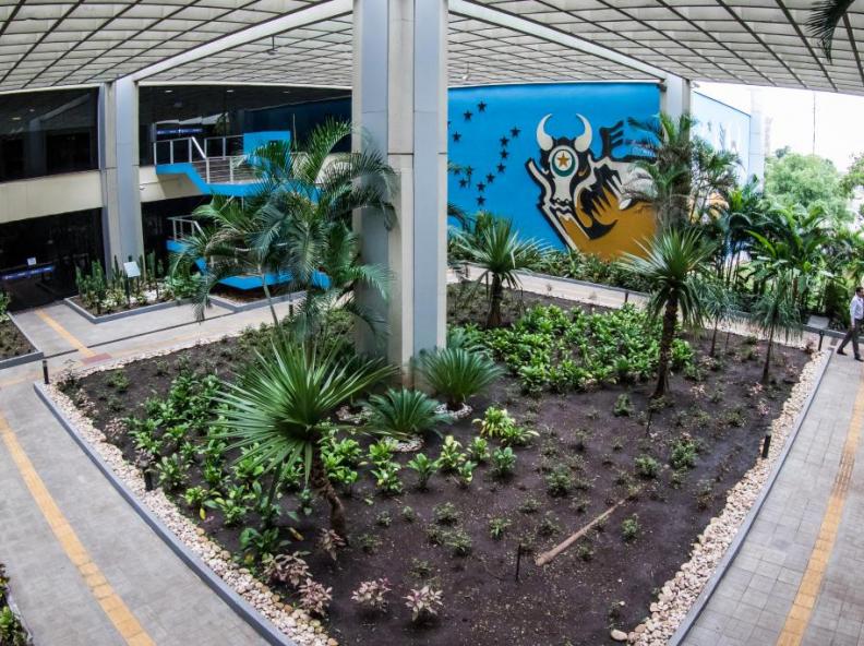 Distribuição gratuita de benefícios é proibida em ano eleitoral, alertam CGE e PGE