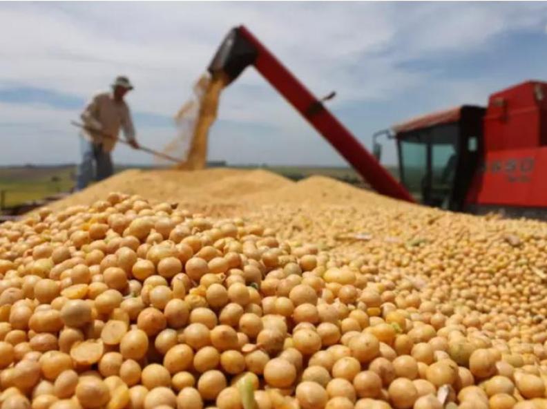 Exportações de grãos crescem no primeiro trimestre de 2026 e impulsionam alta nos fretes no país