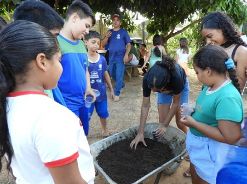 Oficina no Viveiro Municipal incentiva cultivo sustentável e consciência ambiental