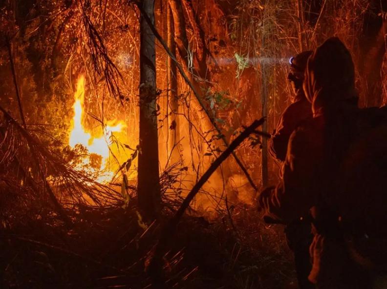 STF cobra ações da União e estados da Amazônia e Pantanal para prevenir incêndios em meio ao avanço do El Niño