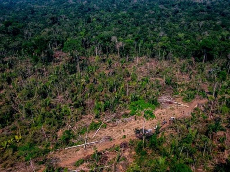 Norte de Mato Grosso concentra municípios em lista federal de monitoramento do desmatamento