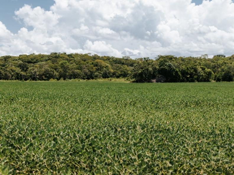 STF homologa Plano Estadual de Regularização Ambiental de MT e destaca evolução do planejamento