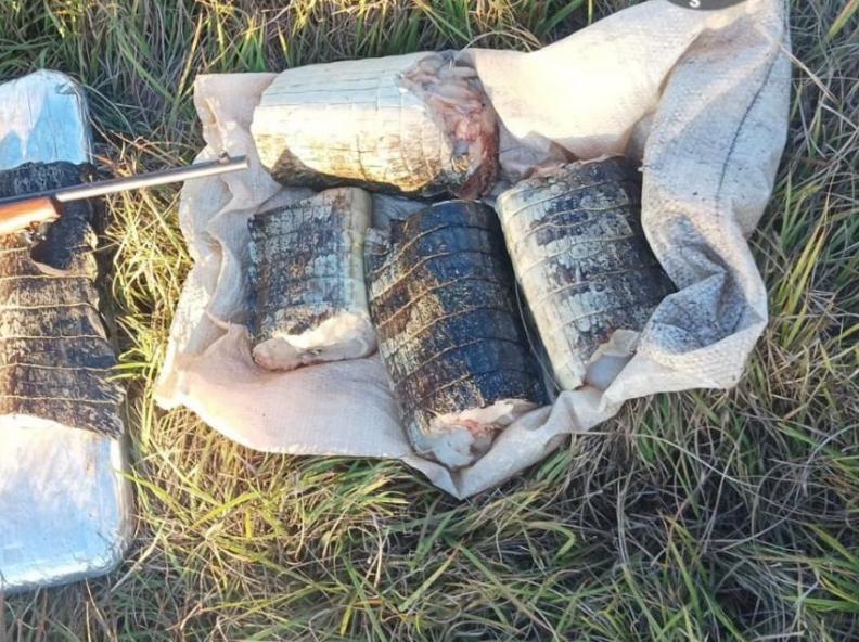 Sema apreende 22 quilos de pescado e de carne de jacaré em Poconé