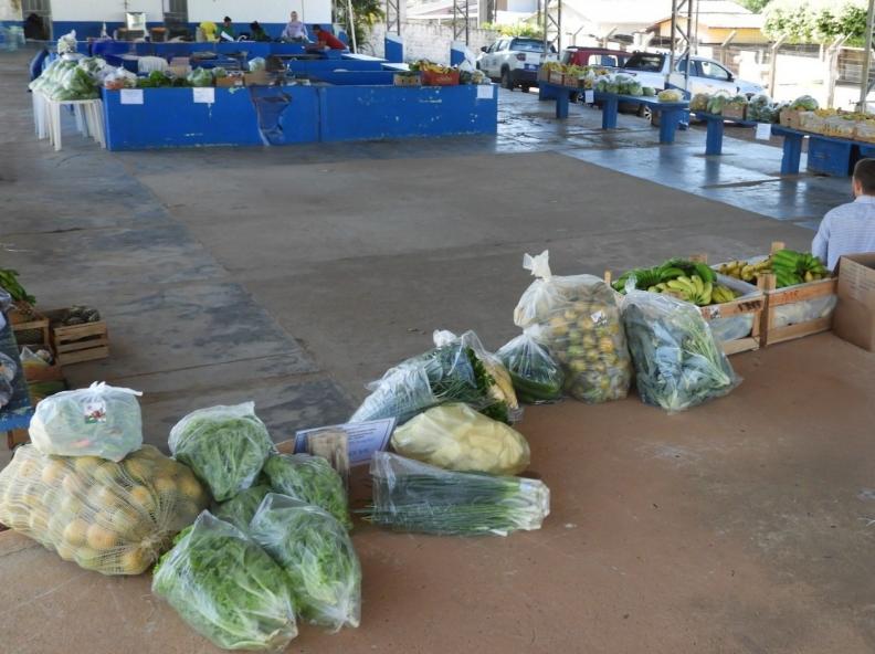 Programa fortalece agricultura familiar e impulsiona geração de renda em Nova Monte Verde