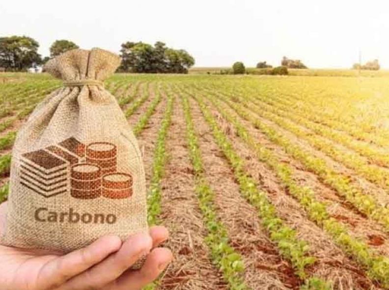 Pegada de carbono do campeão de produtividade de soja foi 61% menor