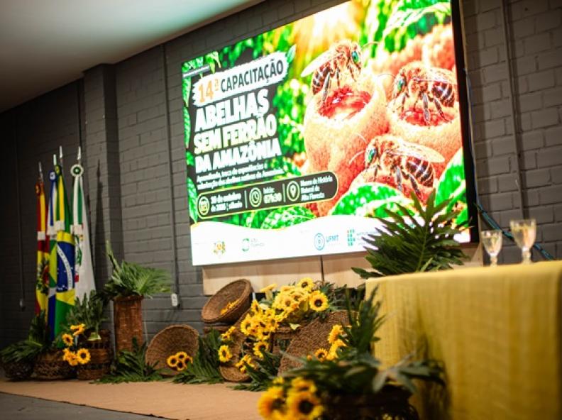 14ª Capacitação em Meliponicultura fortalece a criação de abelhas sem ferrão em Alta Floresta