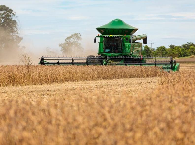 Agropecuária é o segundo setor que mais emprega em Mato Grosso