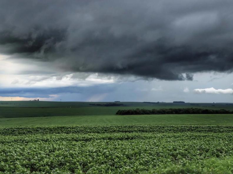 Chuvas irregulares e altas temperaturas impactam cultivos