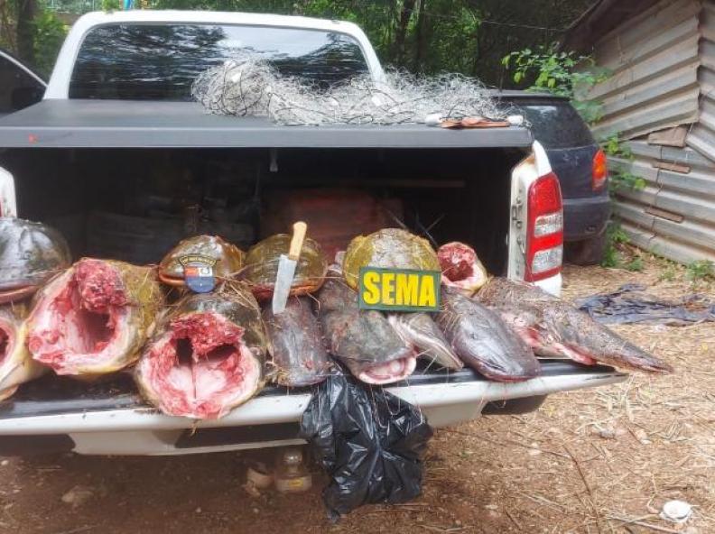 Sema apreende 118 kg de pescado ilegal durante operação na comunidade São Gonçalo Beira Rio