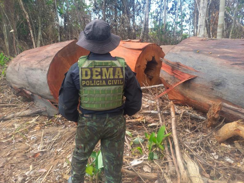 Durante as operações, 24 pessoas foram presas em flagrante por crimes ambientais