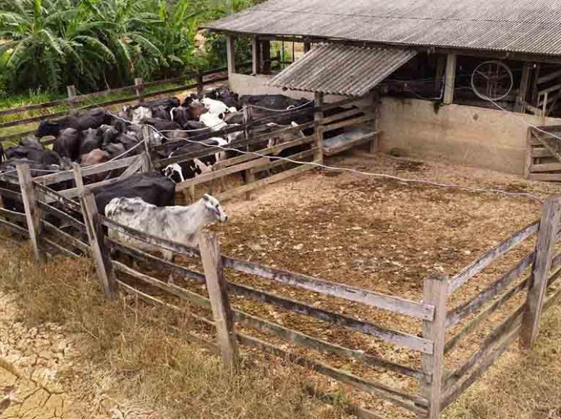 Divulgada décima sétima edição do Boletim Agrometeorológico