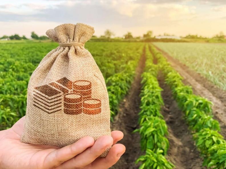 Nova Mutum é 5º maior exportador do Estado; R$ 4,7 bilhões