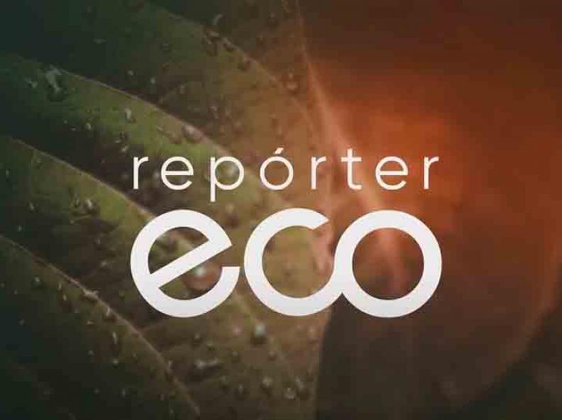 Programa Alta Floresta Não Atropela é destaque no Repórter Eco, da TV Cultura
