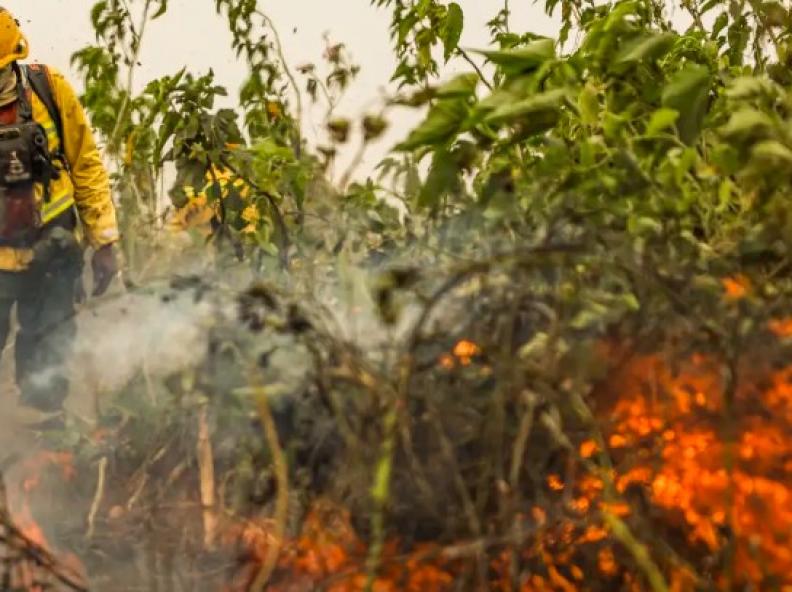 Brasil tem 1 milhão de focos de queimada registrados em 5 anos
