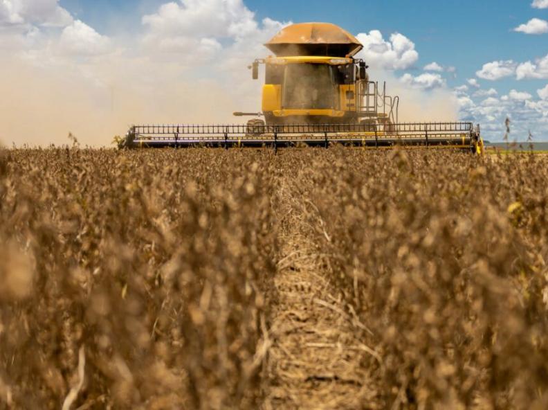 Mato Grosso deve registrar 2º maior PIB do país com destaque para agropecuária