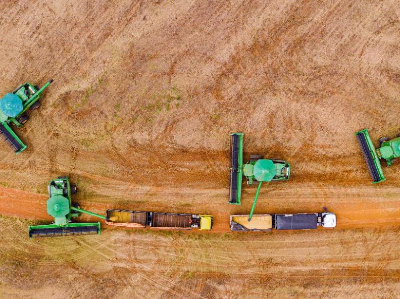 Puxada pela soja, produção de grãos em MT deve aumentar 4,4% na safra 2024/2025, estima Conab