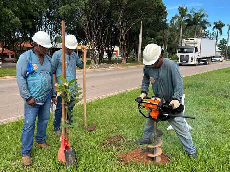 Meio Ambiente e Desenvolvimento Sustentável realiza plantio de árvores em avenidas