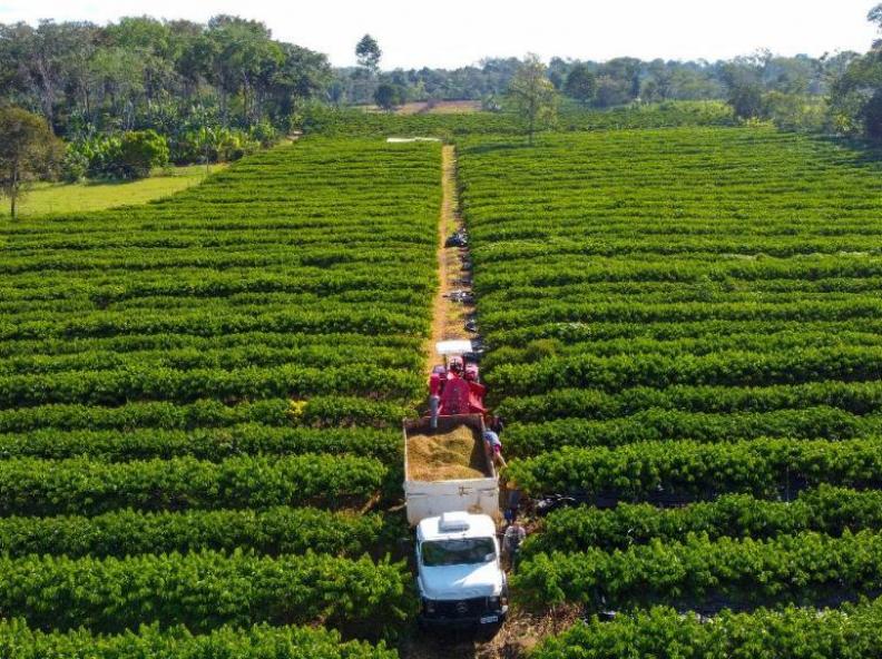 Governo de MT tem linha de crédito para financiar equipamentos, máquinas e implementos agrícolas