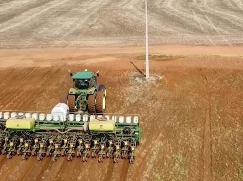Semeadura de soja em MT chega a 1,82% da área; clima preocupa