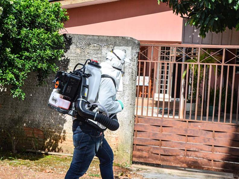 Secretaria de Estado de Saúde divulga dados de monitoramento de infecções transmitidas pelo mosquito Aedes Aegypti